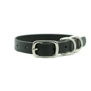 Canine Collar
